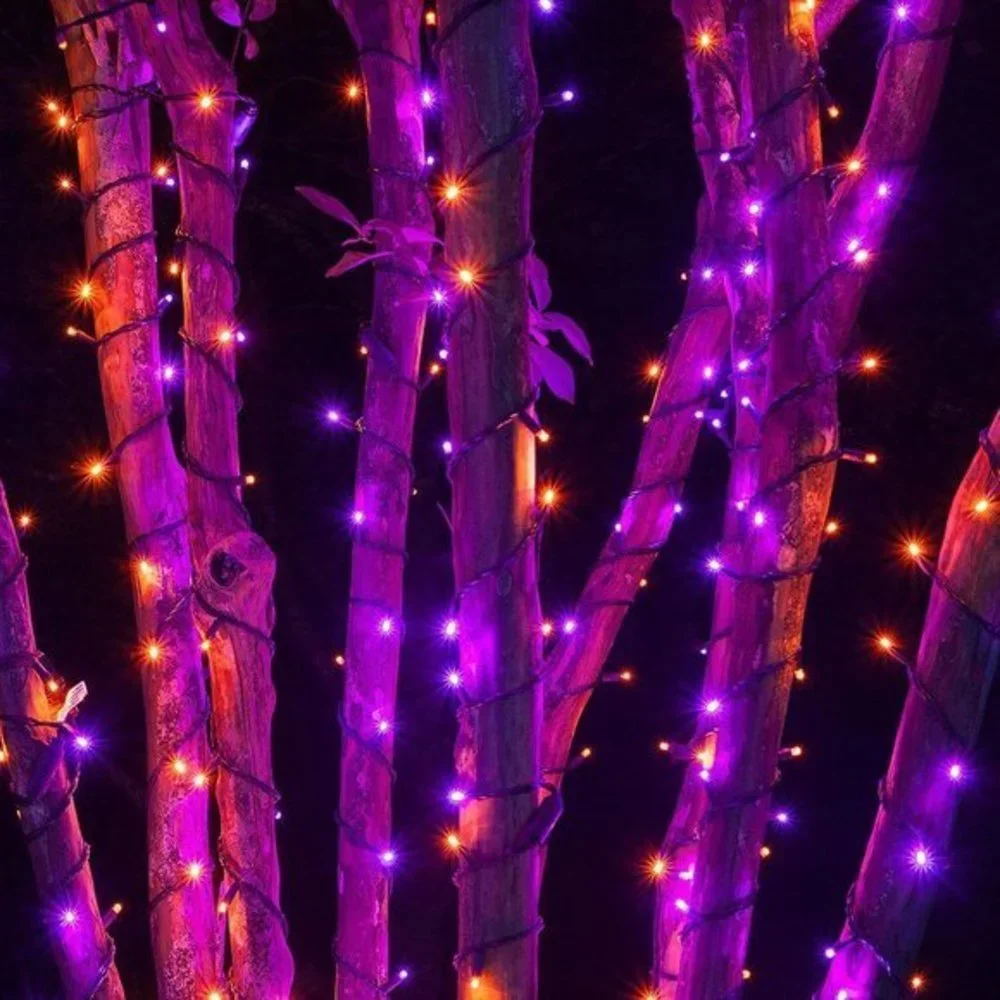 Halloween Purple & Orange 300 LED 100FT String‎ Lights